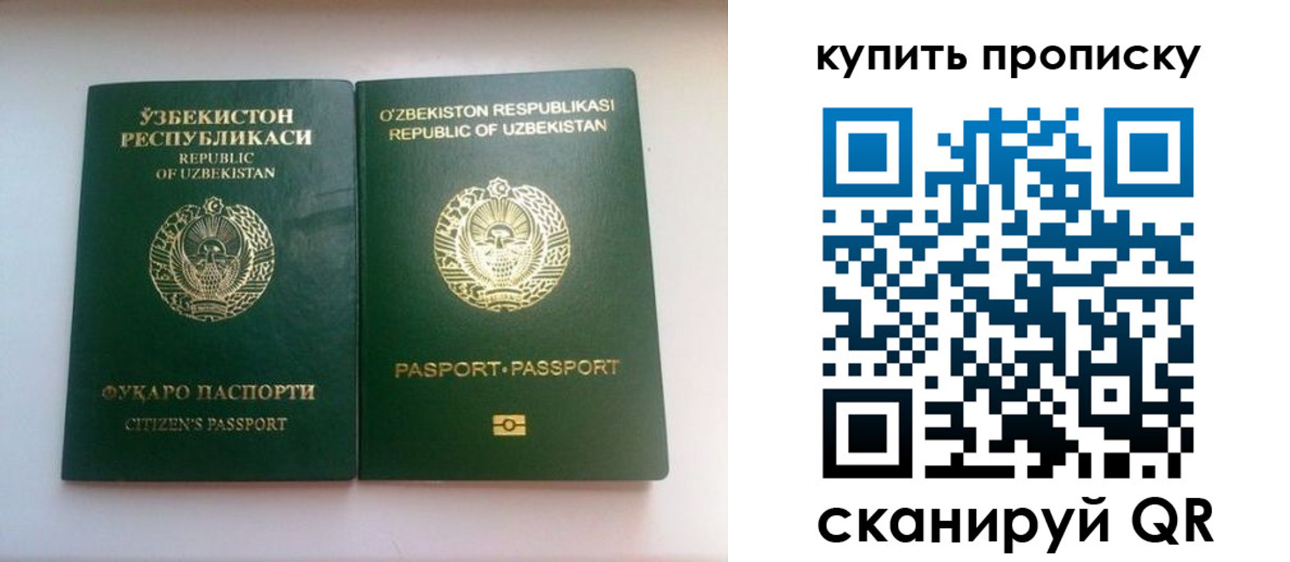 временная прописка в Ярославской области